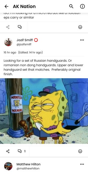 Russian / romanain handguards
